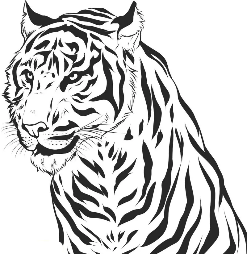 Tiger Adult Coloring Pages