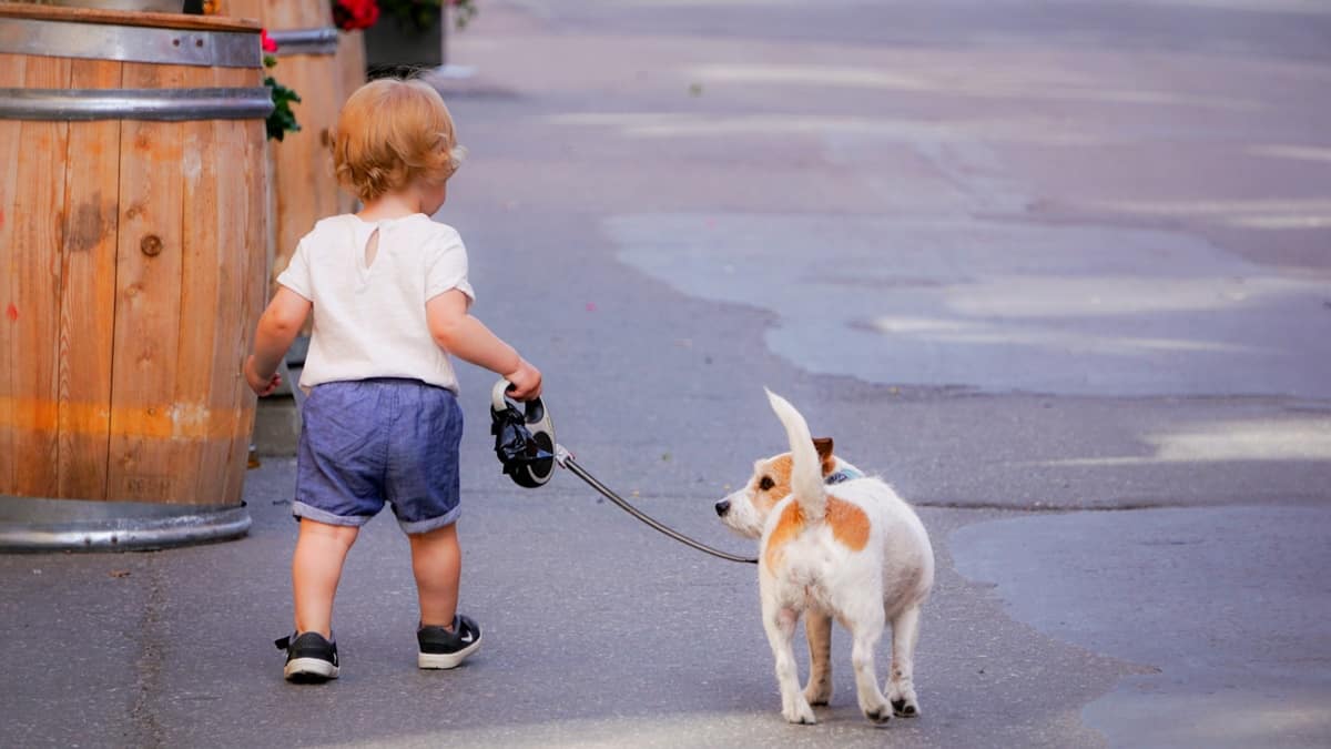 What To Bring To Disneyland With A Toddler