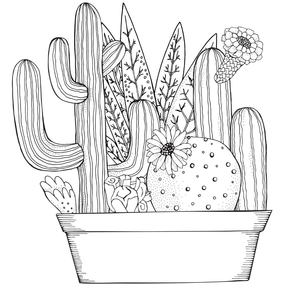 Coloring Pages Procreate