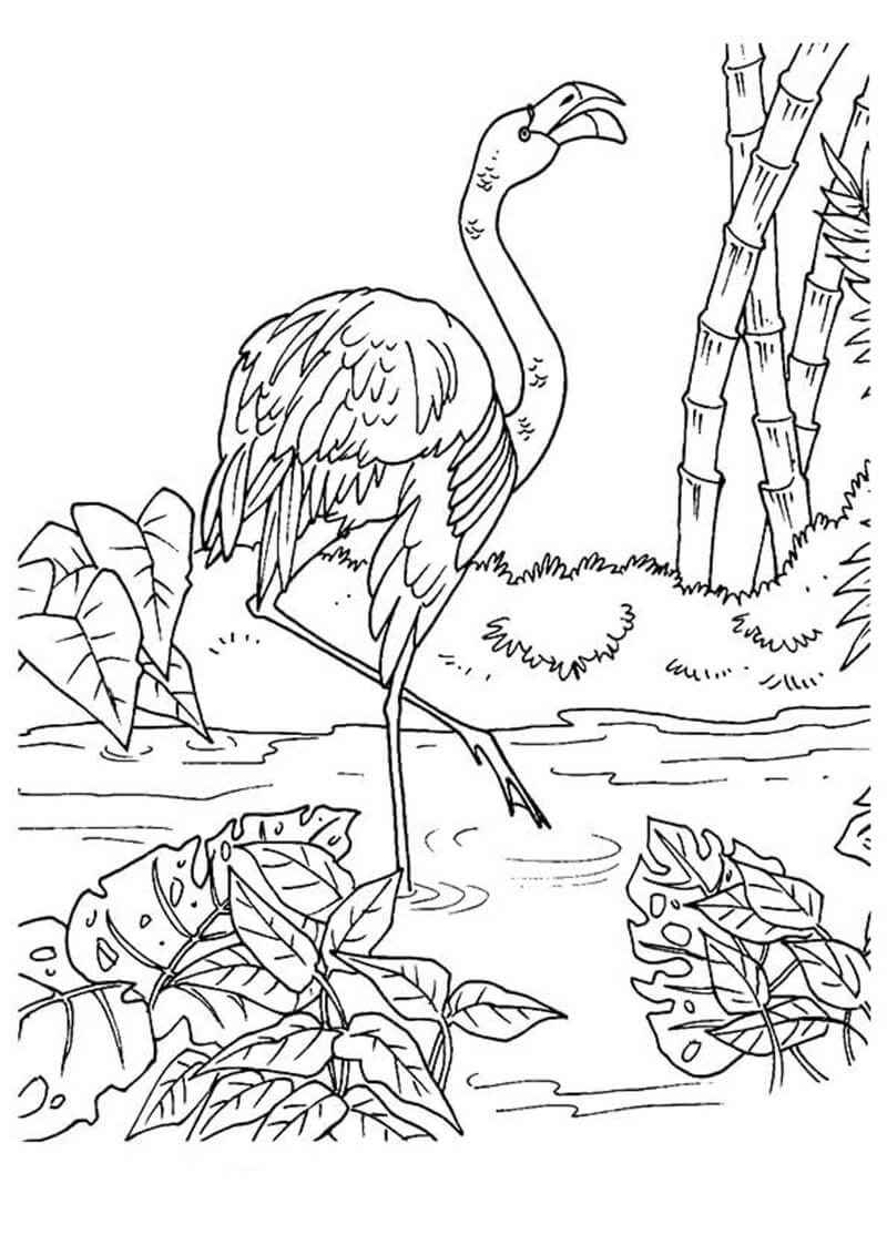 Flamingo with beautiful landscape coloring page