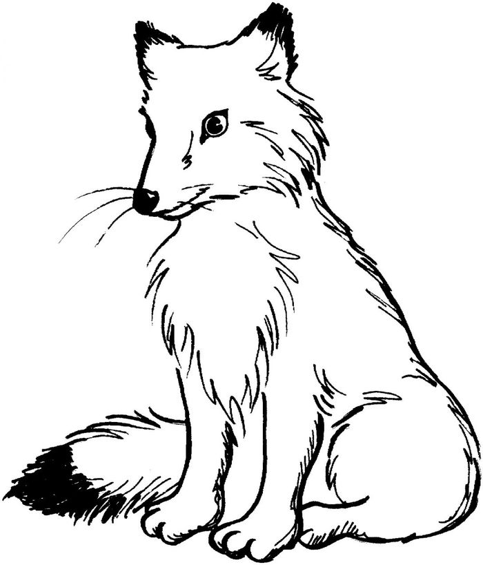 Fox Coloring Pages