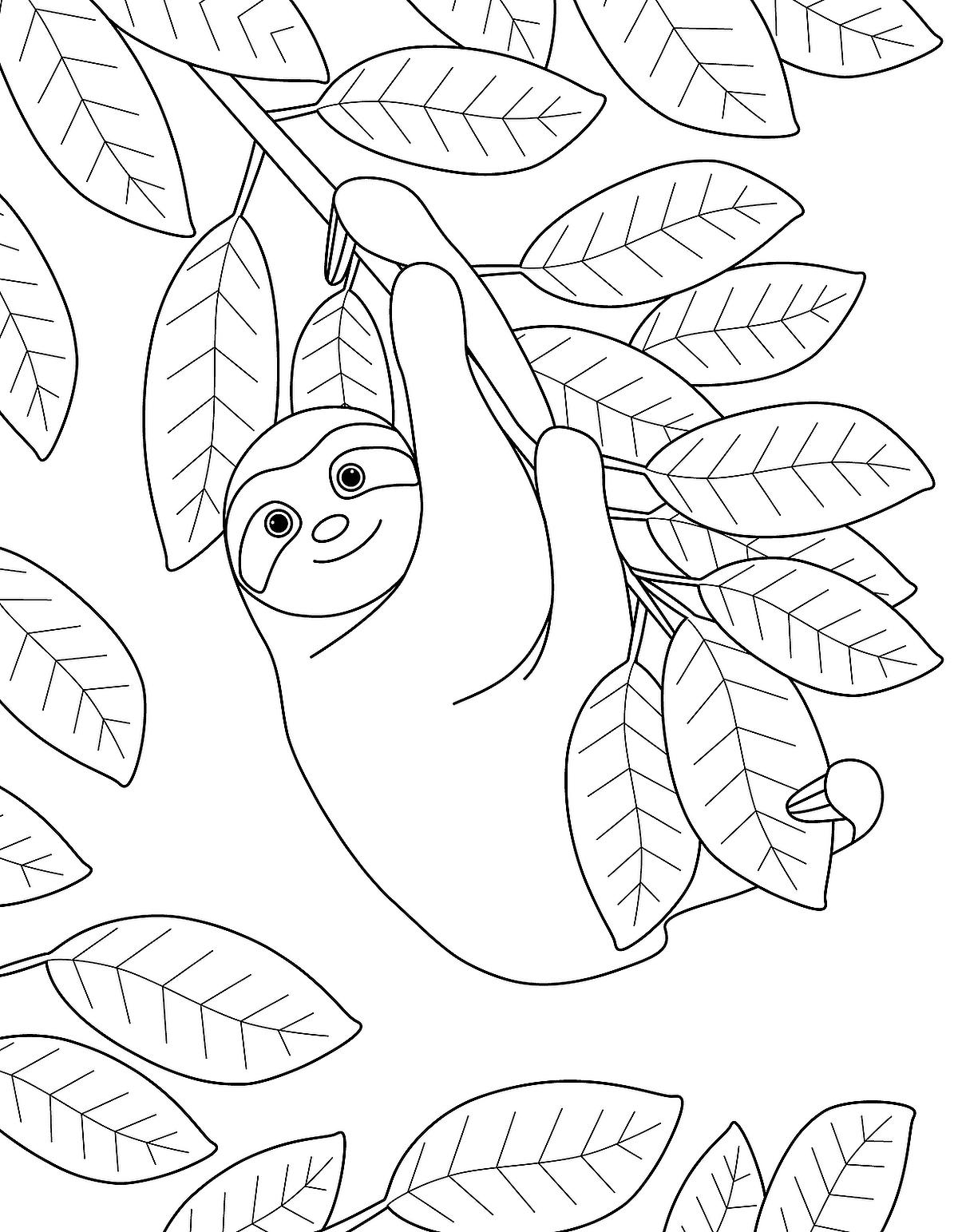 baby sloth cartoon to color