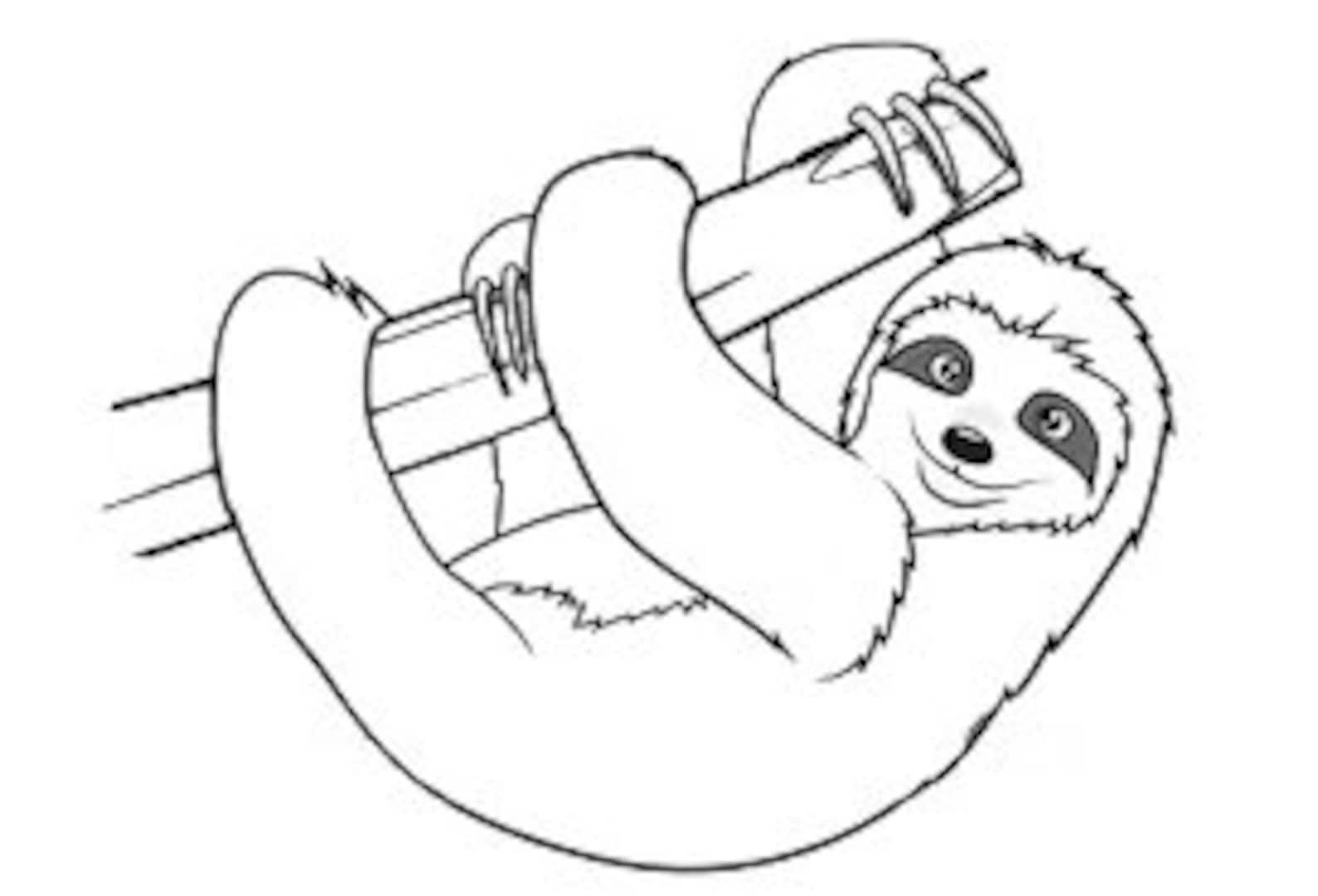 Free Sloth Coloring Pages