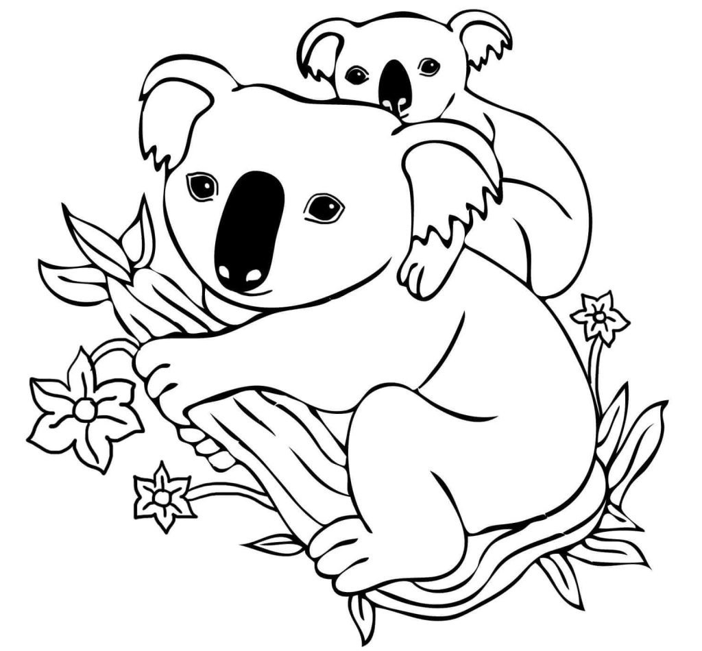 Koala Coloring Pages