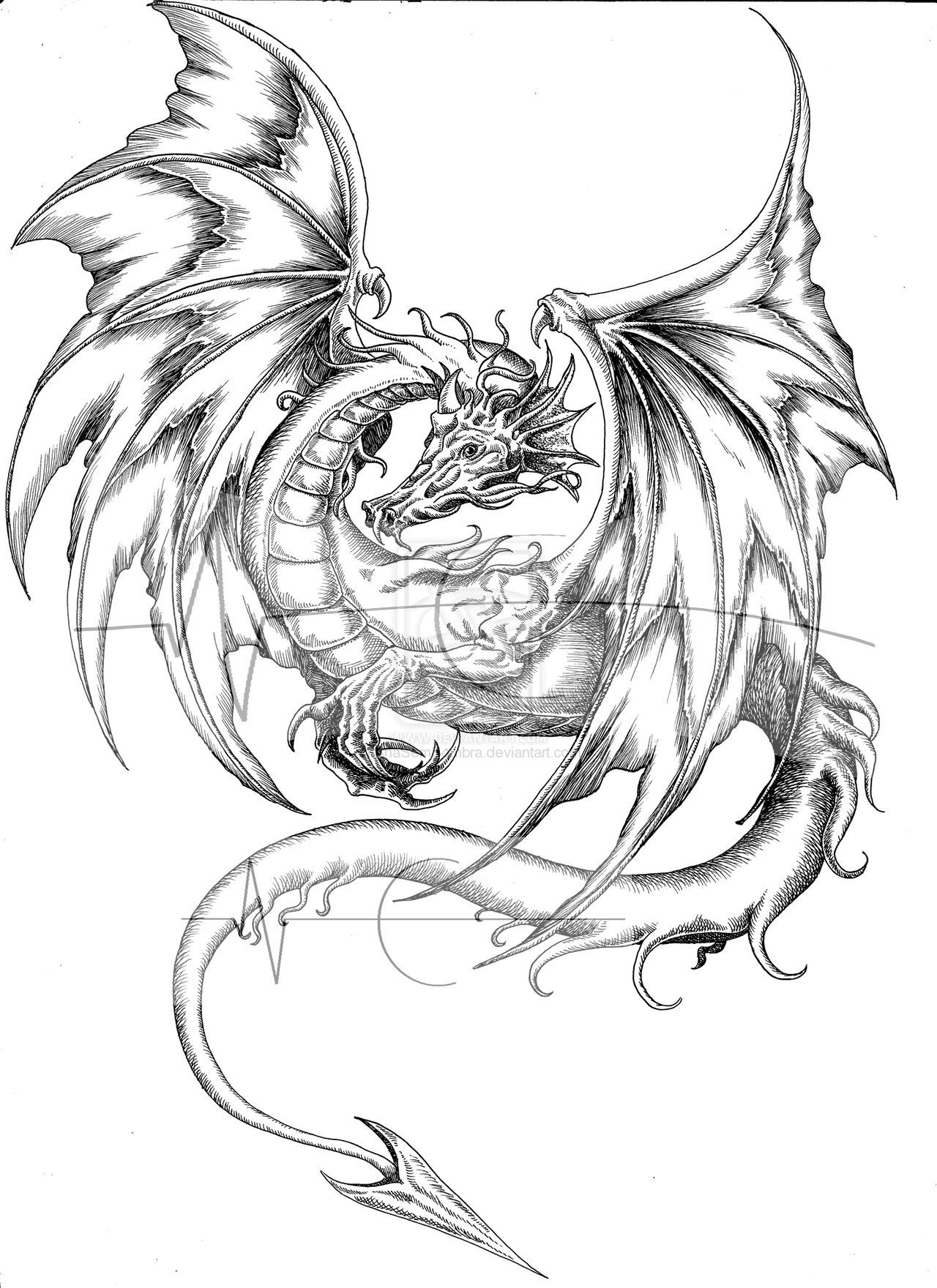 6,100+ Flying Dragon Illustrations, Royalty-Free Vector Graphics & Clip Art  - iStock | Flying dragon vector, Flying dragon lizard, Flying dragon animal