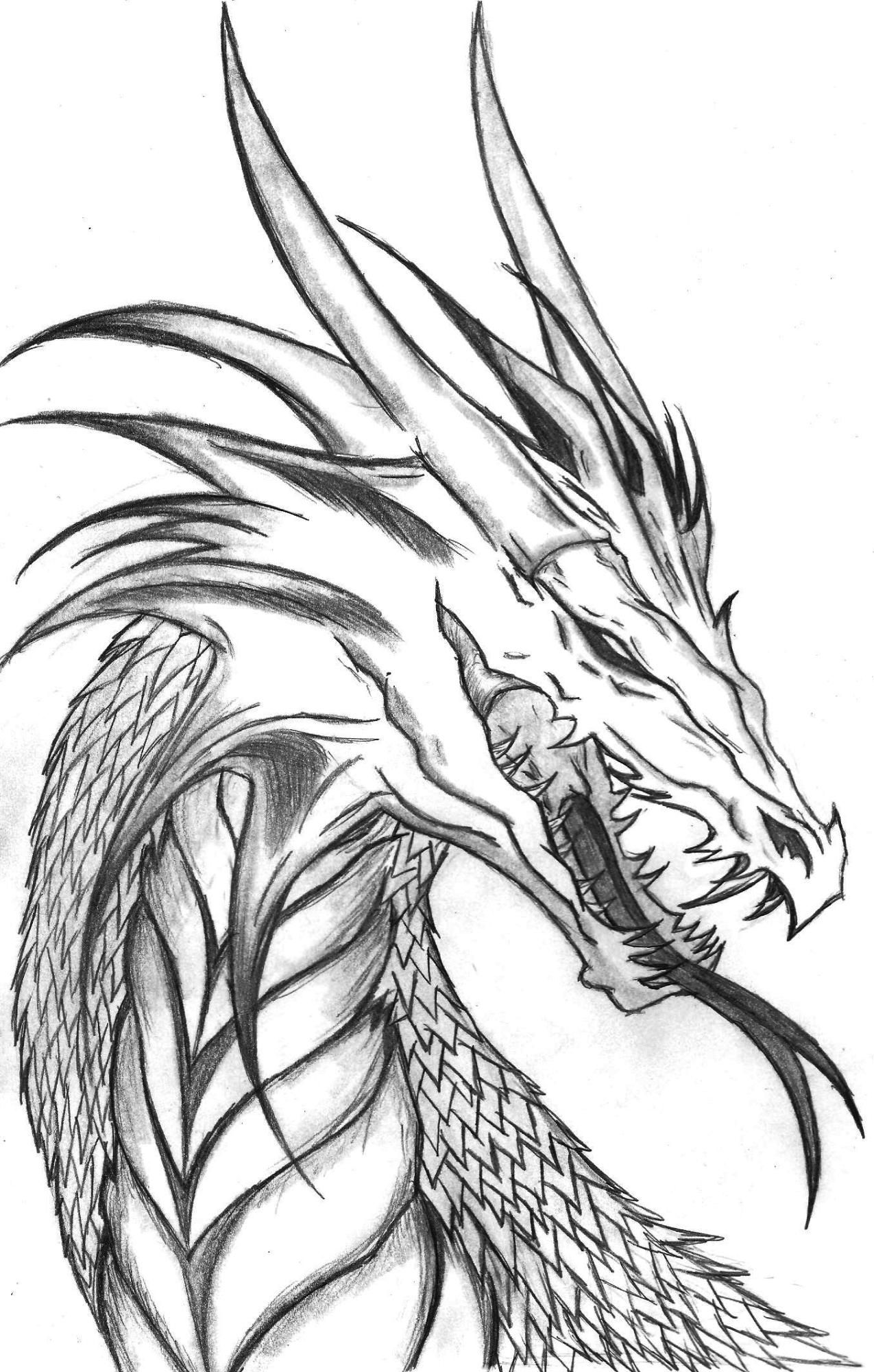 Realistic Dragon Head Coloring Pages