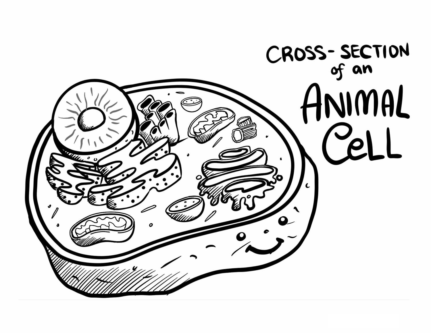 Animal Cell Coloring Page