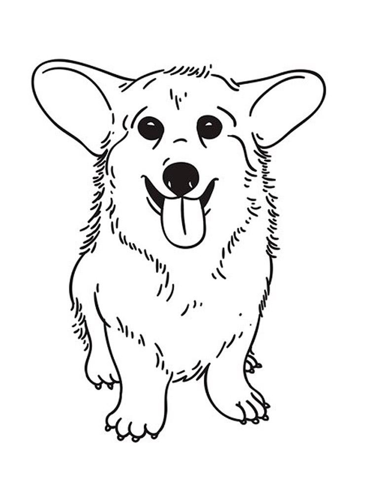 Corgi Coloring Pages