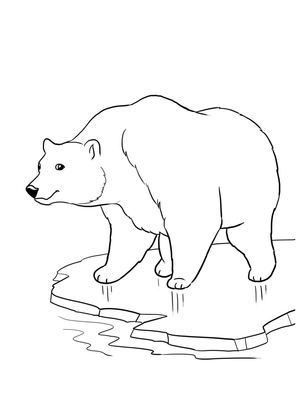 Free Polar Bear Coloring Pages