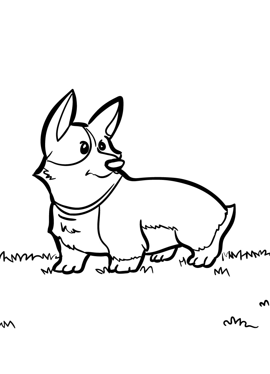 Printable Corgi Coloring Pages