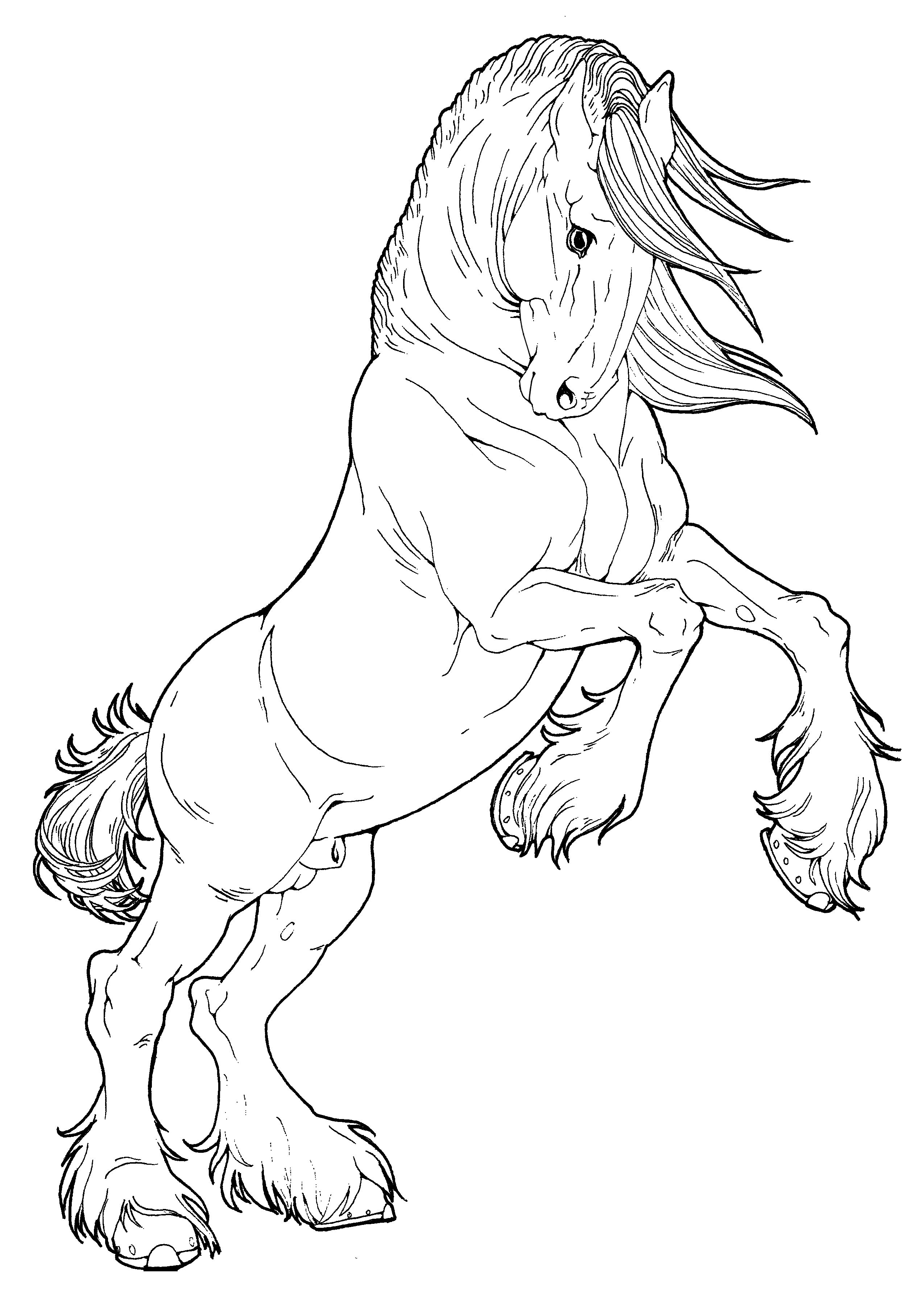 Printable Realistic Horse Coloring Pages