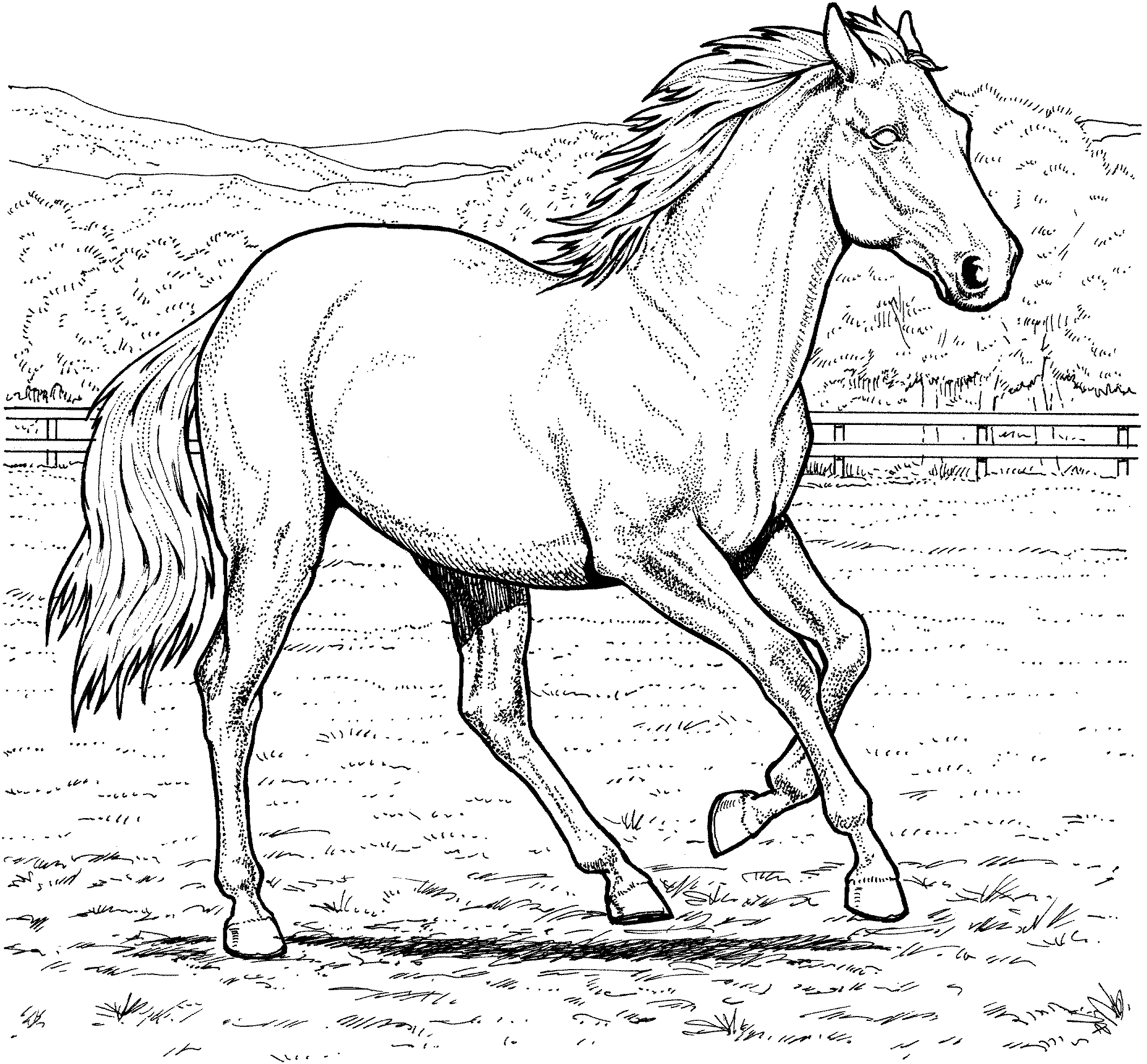 Realistic Horse Coloring Pages