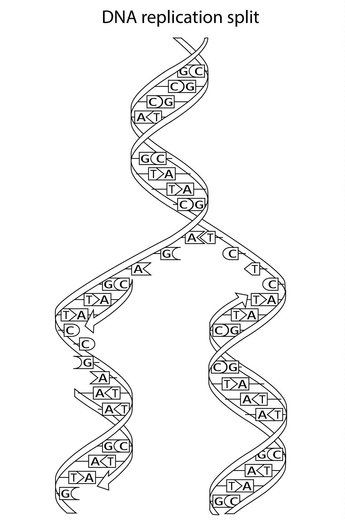 Free Printable Science Coloring Pages Pdf - Coloringfolder.com