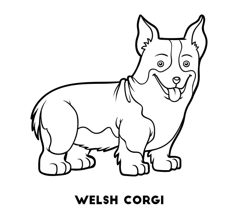 welsh corgi coloring pages
