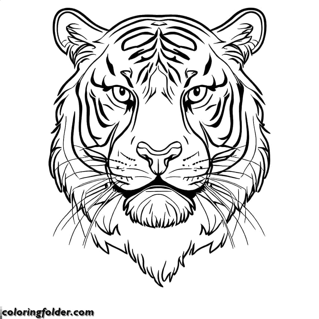 realistic tiger face coloring pages 2