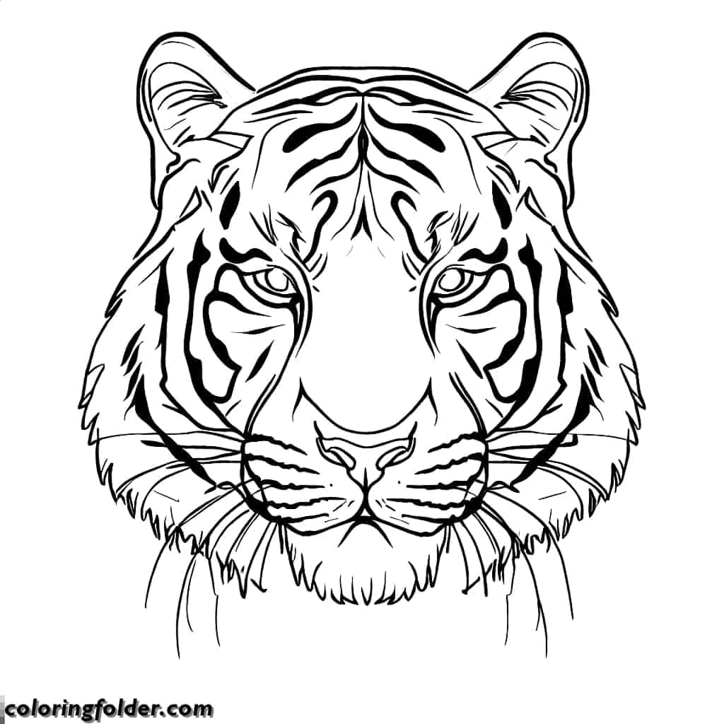 realistic tiger face coloring pages
