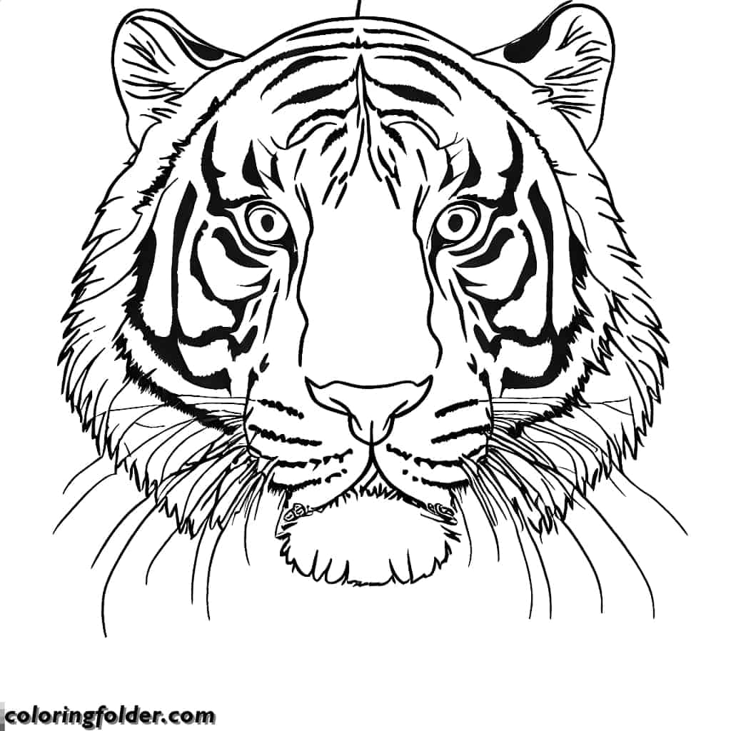 realistic tiger head coloring pages