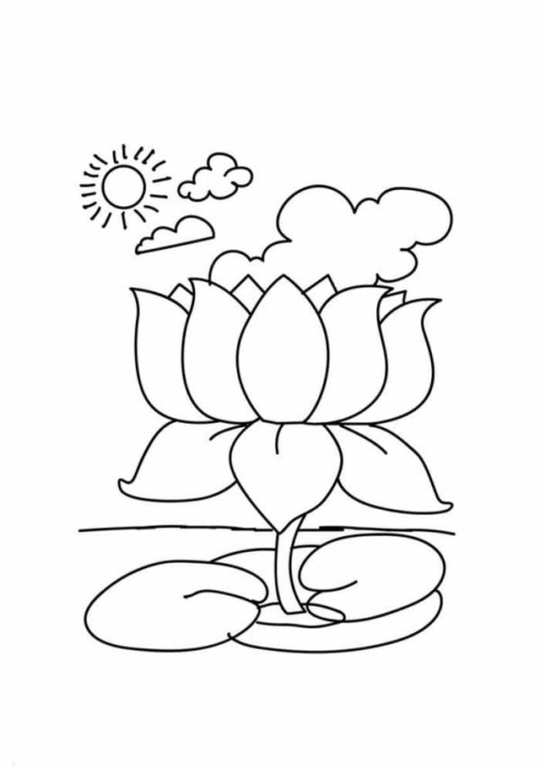 Lotus Flowers Coloring Pages x