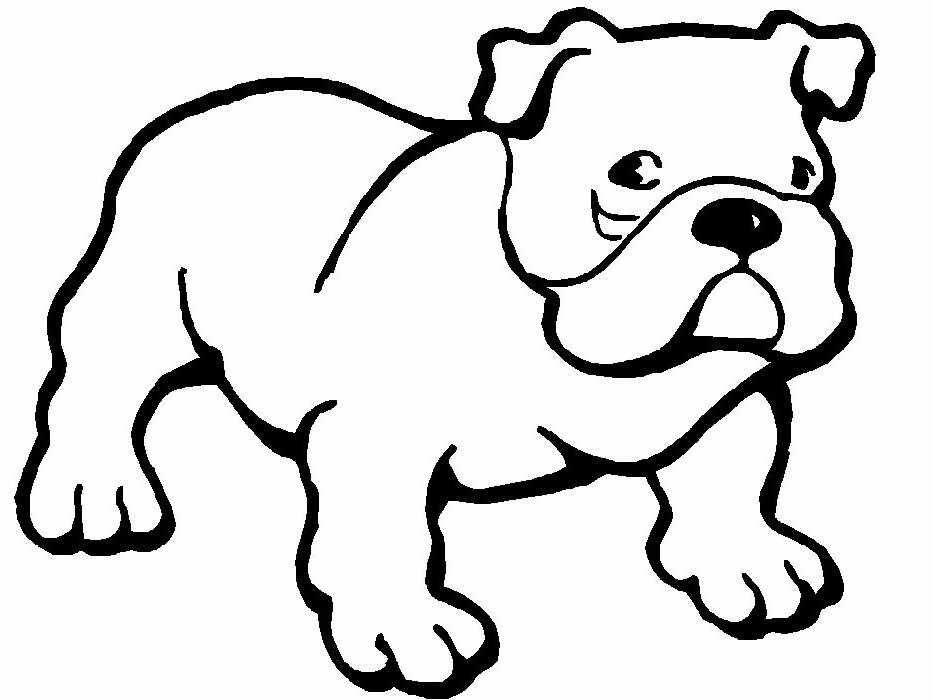 Year Old Pitbull Terrier Lab Boxer Coloring Pages