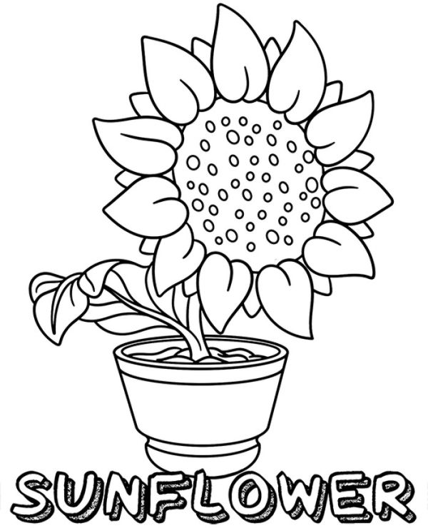 A Simple Sunflower Coloring Page Sheet