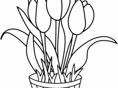 A Simple Tulips Coloring Pages