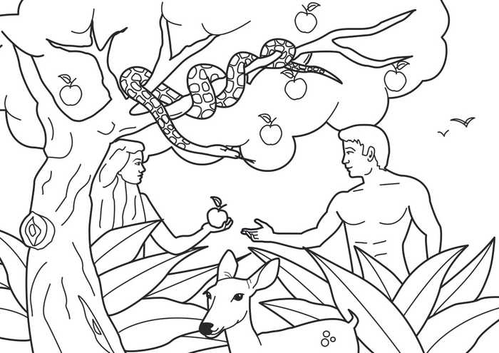 Adam And Eve Forbidden Fruit Bible Coloring Pages