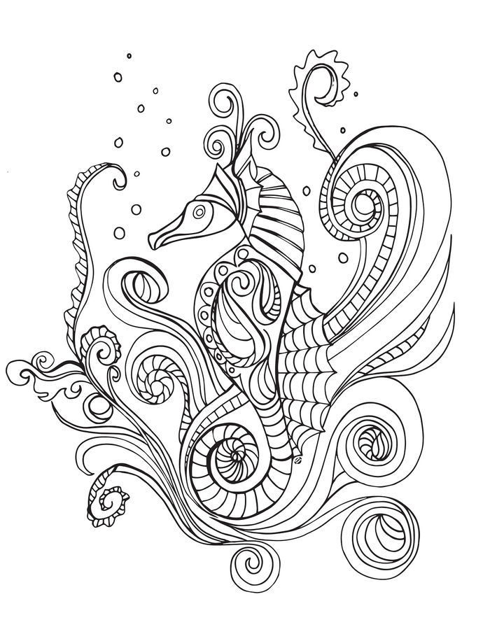 Adult Coloring Pages Animal Pattern Seahorse