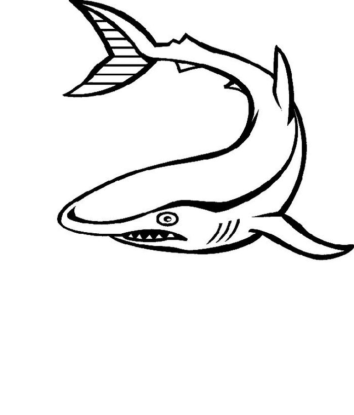 Adult Coloring Pages Of Sea Animals