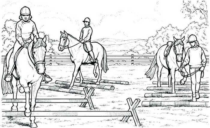 adult equitation coloring pages