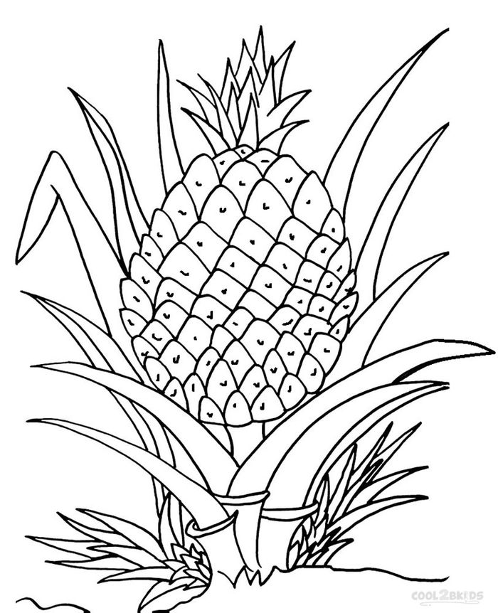 Aesthetic Pineapple Coloring Pages