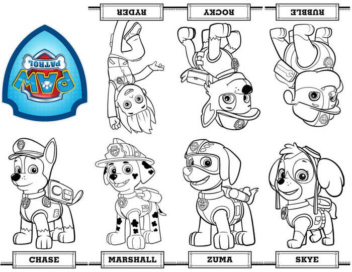 All Paw Patrol Characters Coloring Page