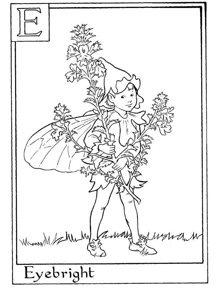 Alphabet Fairy Eyebright Coloring Pages
