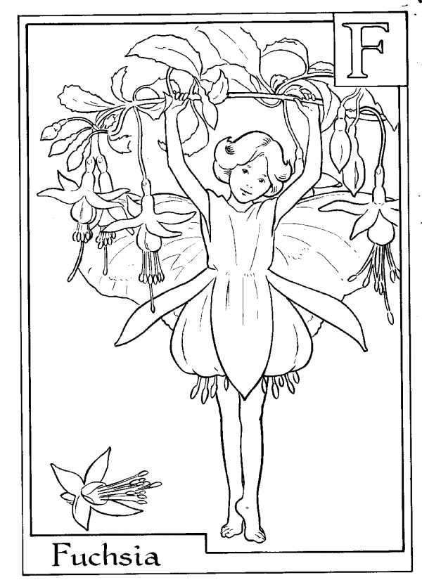 Alphabet Fairy Fuchsia Coloring Page