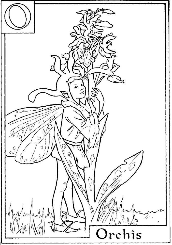 Alphabet Fairy Orchis Coloring Page