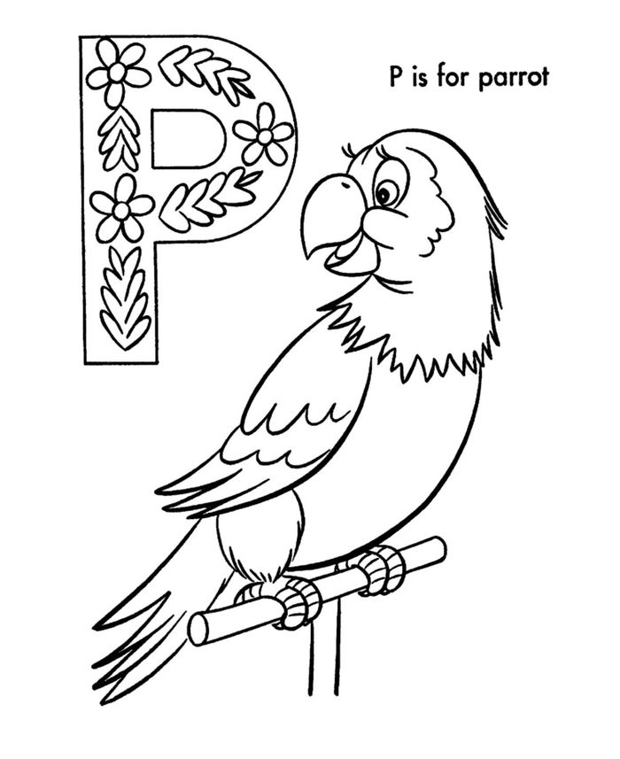 Animal Coloring Pages Parrot