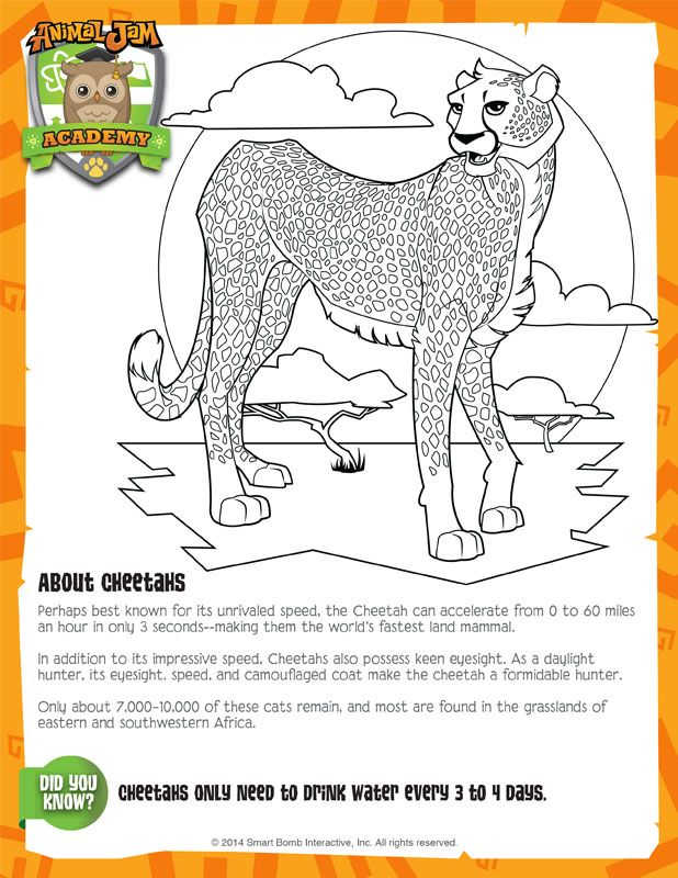 Animal Jam Academy Hyena Sheet