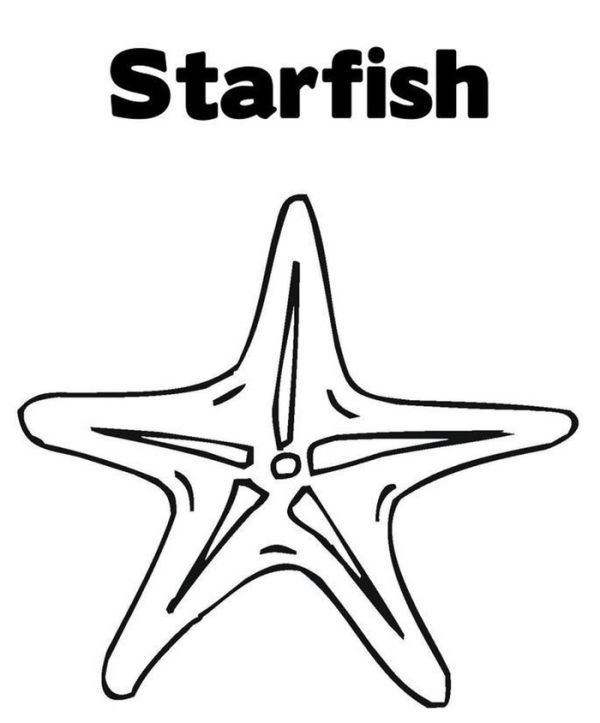 Animal starfish coloring pages