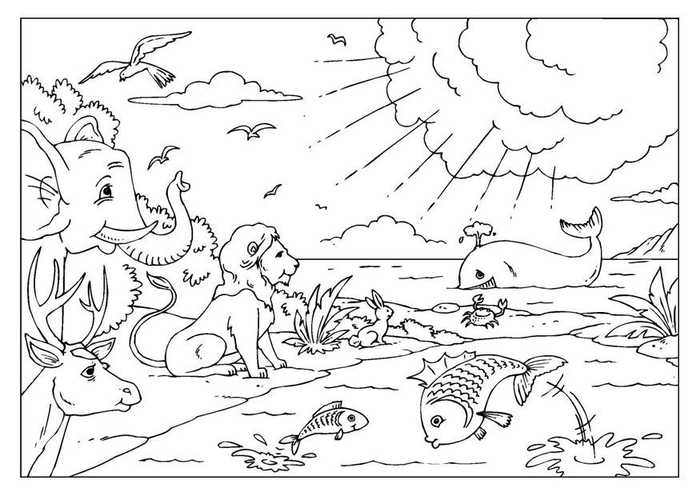 Animals Creation Coloring Pages