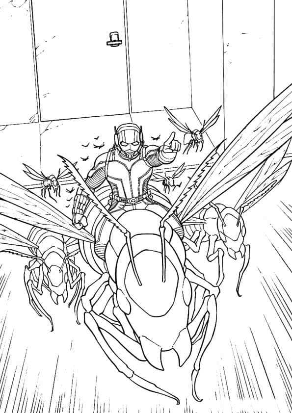 Ant Man And Antony Coloring Page