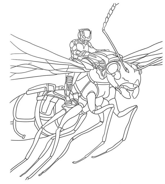 Ant Man And Antony Coloring Sheet