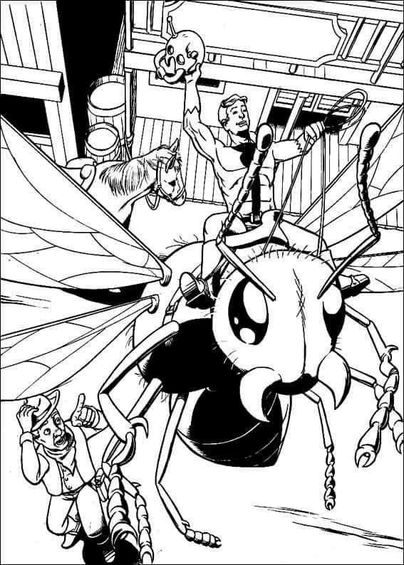 Ant Man Coloring Pictures