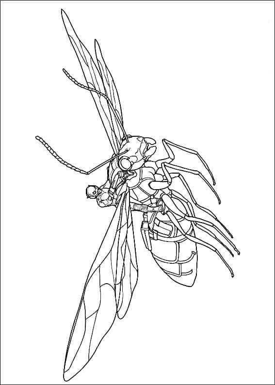 Antony From Ant Man Coloring Page