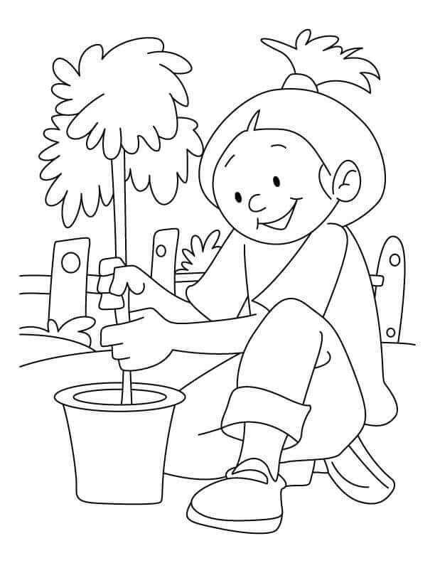 Arbor Day Coloring Pages To Print