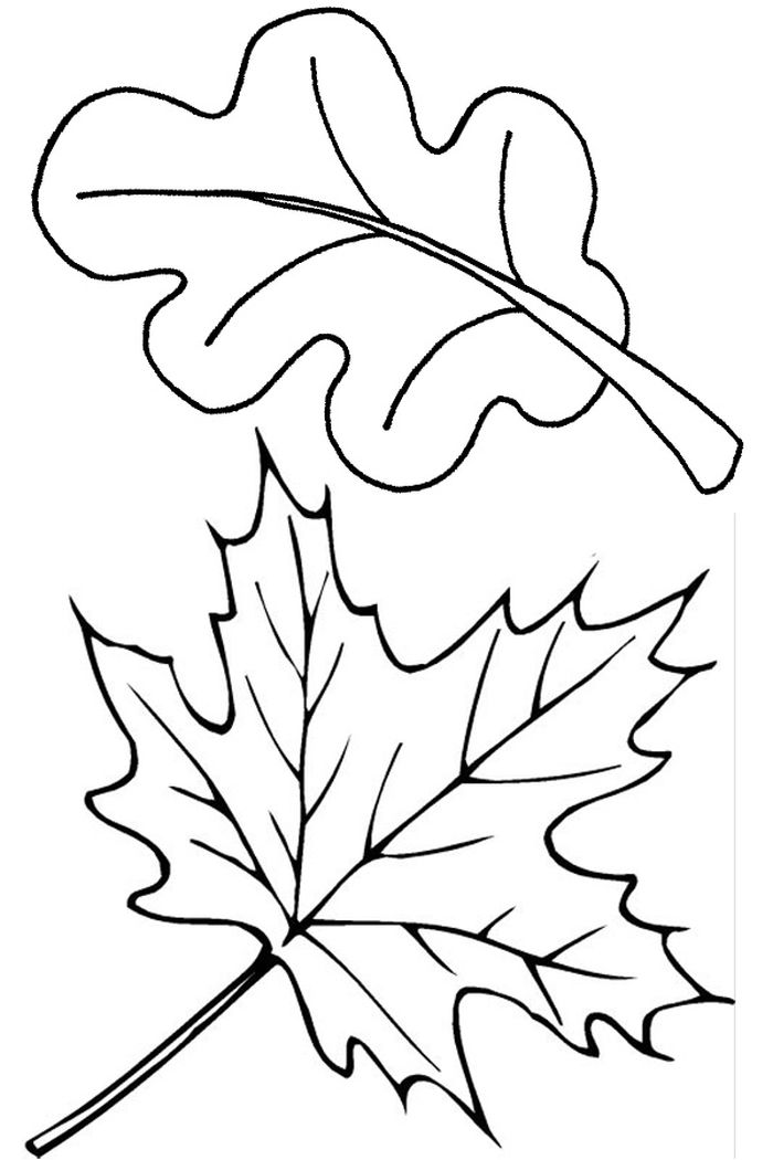 Autumn Coloring Pages For Toddlers