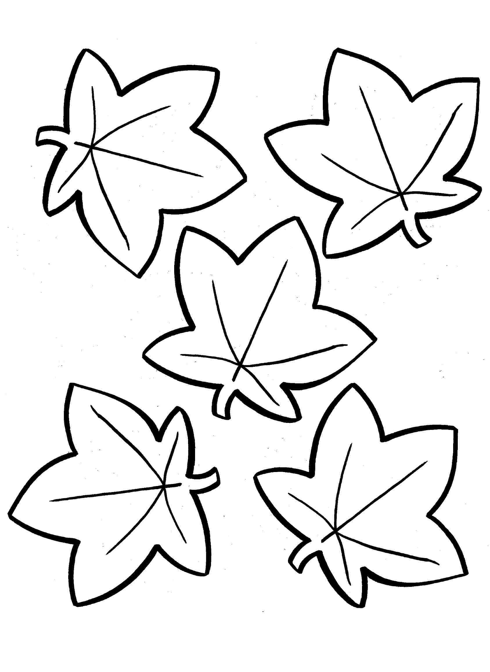 autumn leaves coloring pages 1