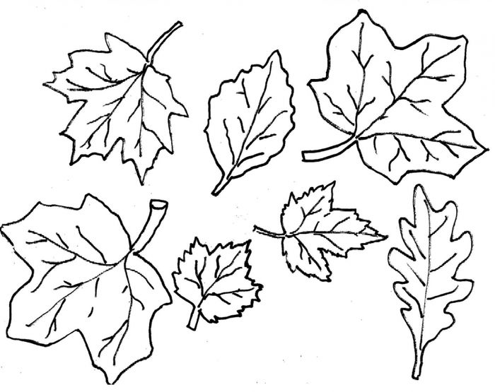 Autumn Leaves Printable Coloring Pages