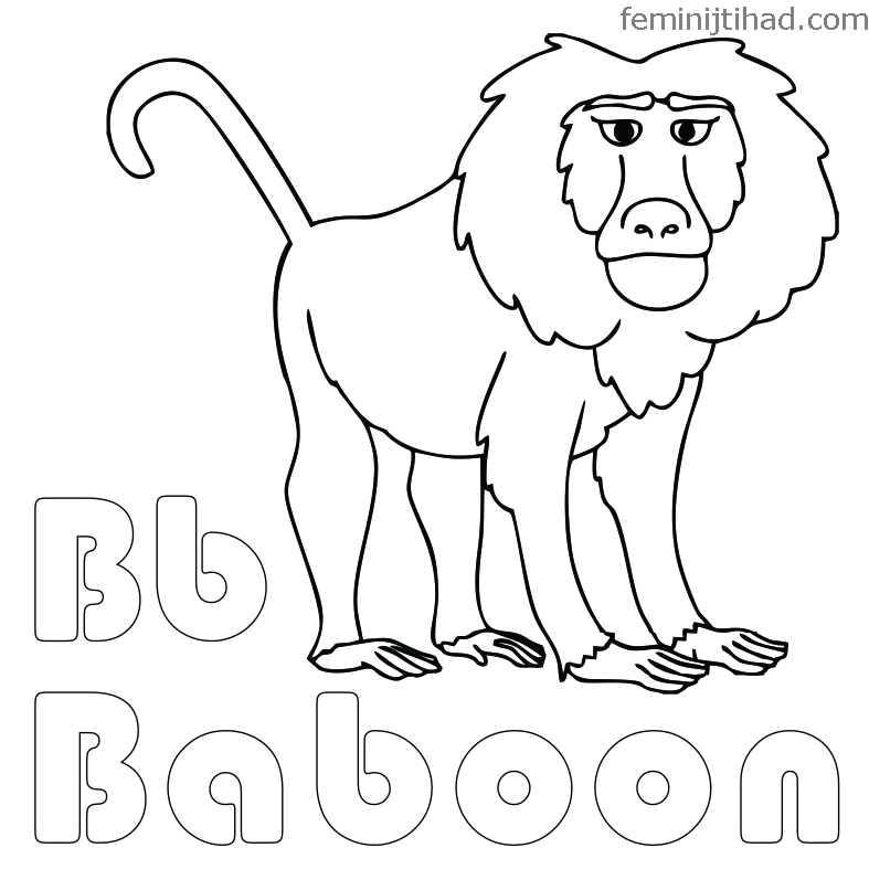 Baboon coloring pages for preschoolers