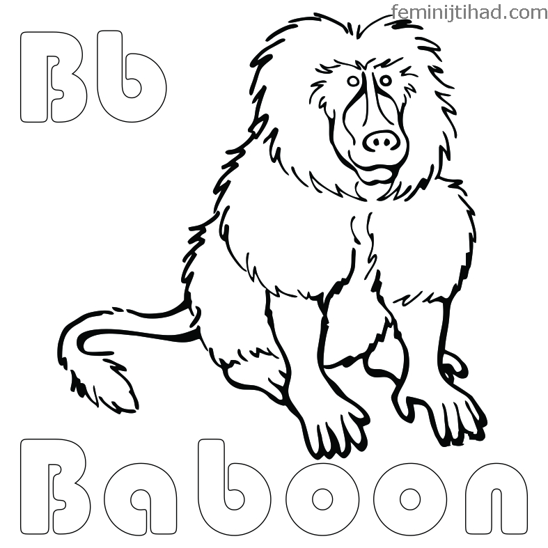 Baboon coloring pages free printable