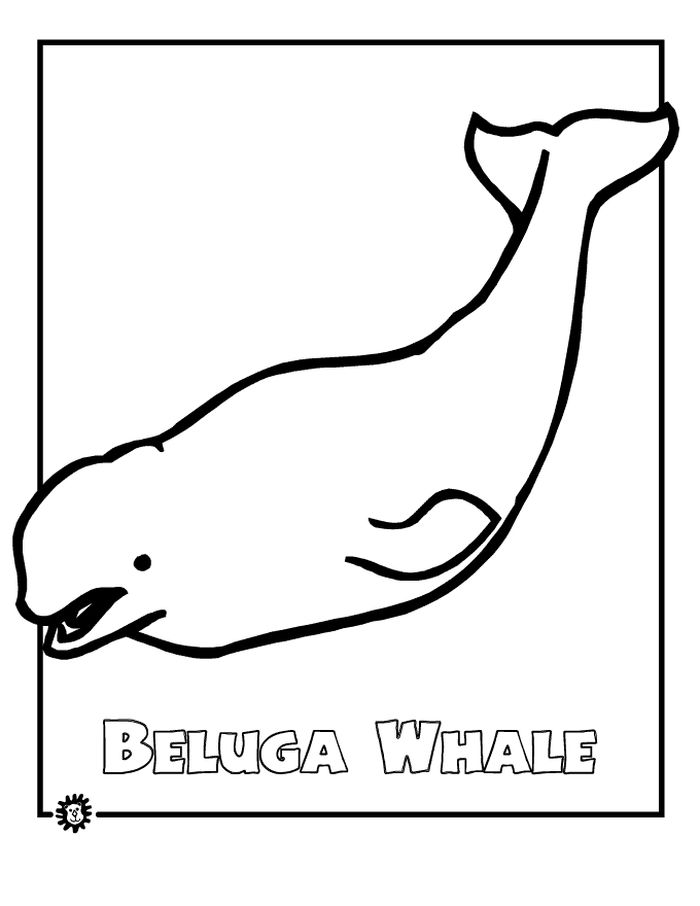 Baby Animals Coloring Pages Blugua Whale
