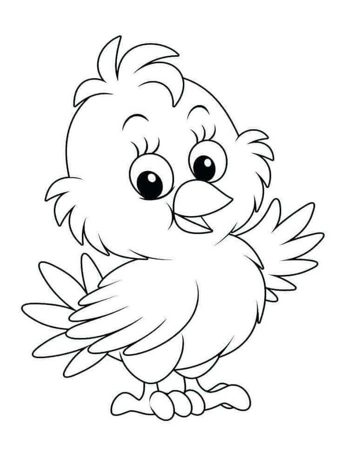 Baby Chick Coloring Pages Printable